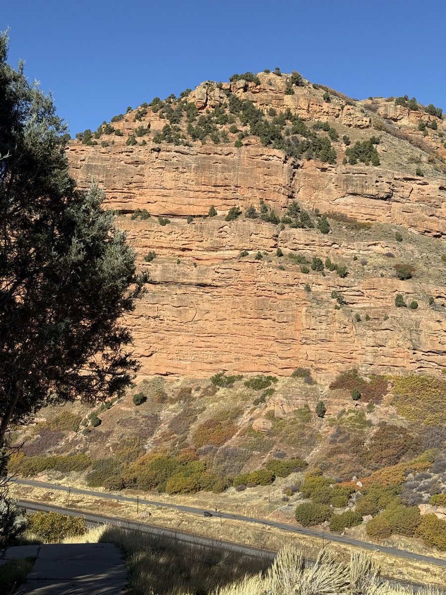 BellatrixMCO (@bellatrixmco) on Twitter photo 