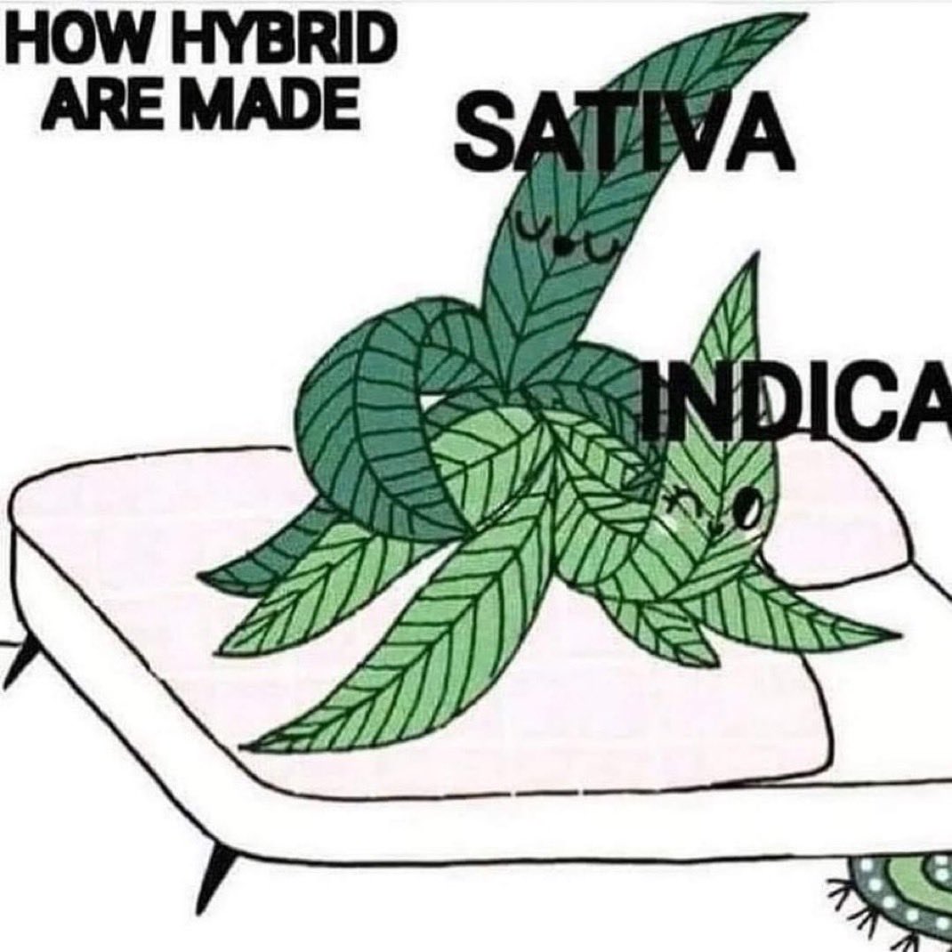 Takasi Tsunoda tweet media