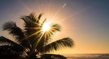PicarE708's tweet photo. 북마케도니아 국기보다도
한번만 tropical sun을 검색해보세요...
앵무새와 열대수 잎 옆에 있는게 과연 욱일기인지 https://t.co/HVmcm21ean