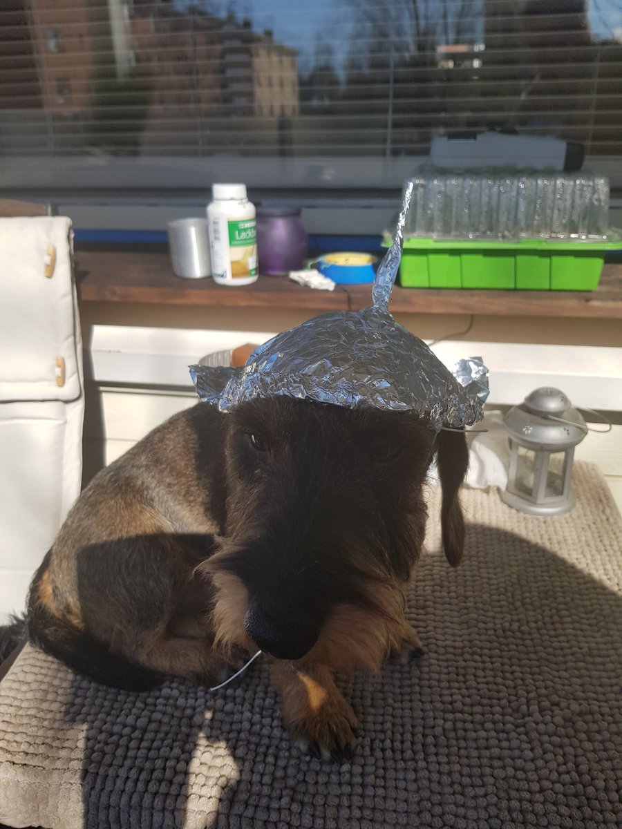 Espen (@pedersen_e93923) on Twitter photo 