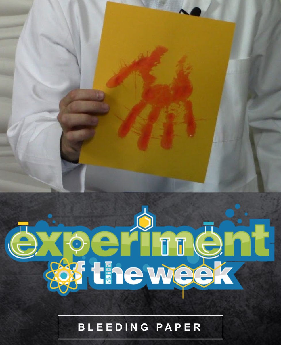 HOSMrScience's tweet image. Does your paper bleed? Creepy, huh? Here’s the spooky STEM behind goldenrod paper. 🎃👻

STEM GUIDE | hookedonscience.org/files/Experime…

#HookedOnScience #MrScience #SpookySTEM #stemeducation #STEMLearning #stemforkids #STEM #science