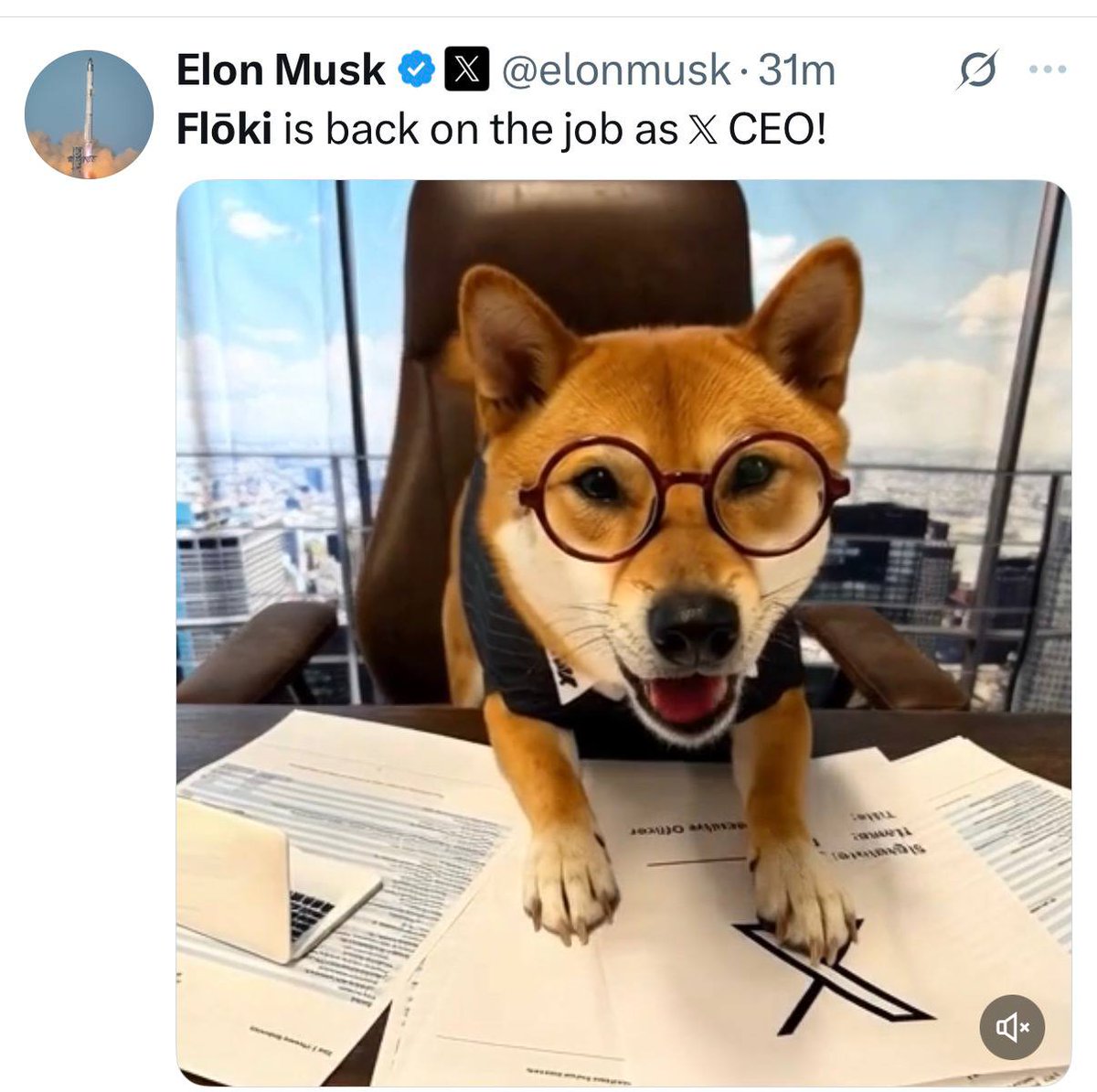 CryptOpus tweet media