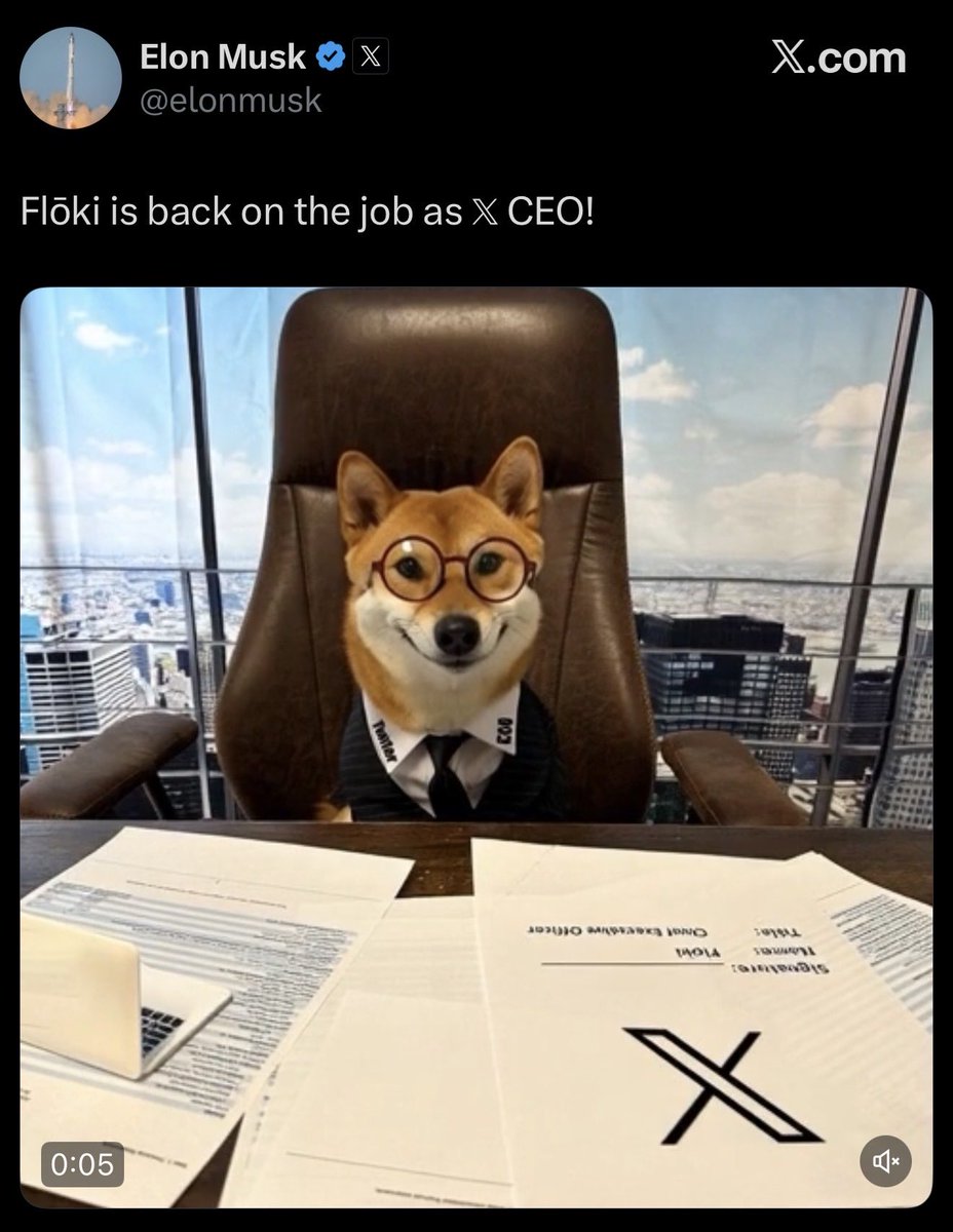 Not Elon Musk tweet media