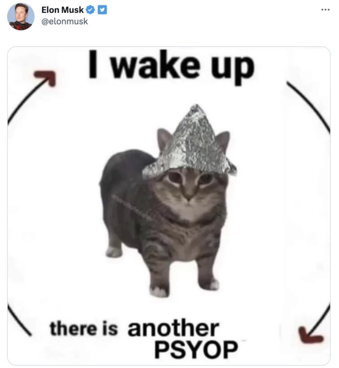 You all think $floki will send, but the most underrated elon related coin that has the highest potential is $oiiaoiia. He is just testing the waters.