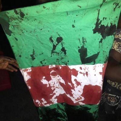 Joe__Bassey's tweet image. On this day the Nigerian flag 🇳🇬 was soak in the blood of those who dared to have a working system in 2020, till this day the youths who were there haven’t recovered fully. 

Never forget the Lekki Massacre where security operatives of Nigeria shoots at the youths they were…