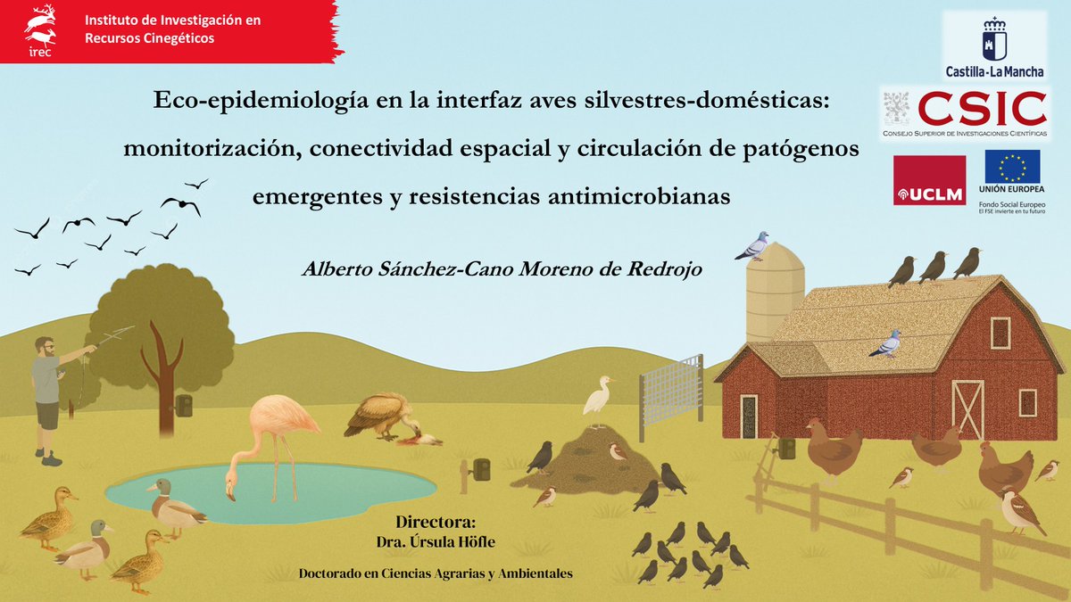 Birdpath Patología Aviar tweet media