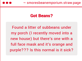 Bean Caretaker tweet media
