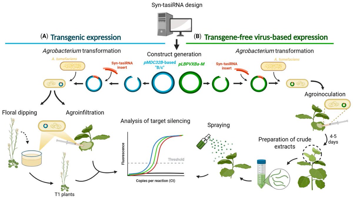 Alberto Carbonell Lab tweet media