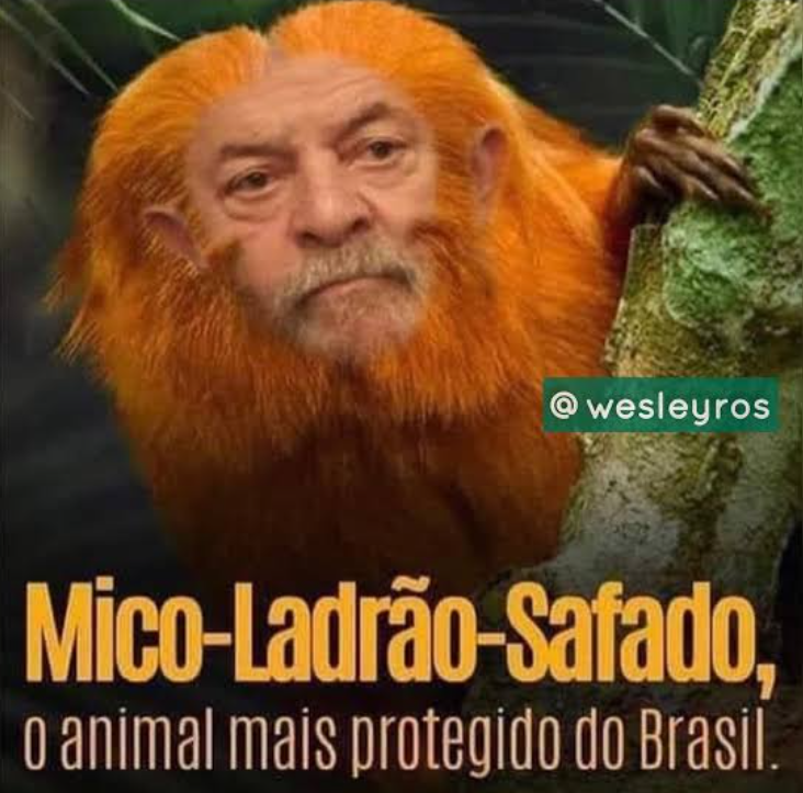 VirgilVanPinto's tweet photo. @PiscesFueda Esse cabelo me lembrou isso https://t.co/WoNXfTDAwH