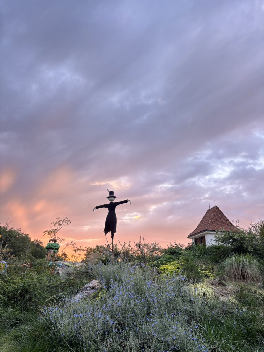 最近は日が沈むのが早くなってきました。夕焼け空の下、カブが皆様のお帰りを見守っているようでした。