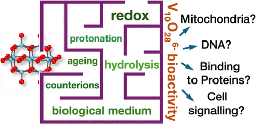 bhkenlo's tweet image. Bioactivity of Decavanadate Compounds: Can Their In Vitro and In Vivo Effects Be Assessed in a Simple Manner? | Inorganic Chemistry pubs.acs.org/doi/10.1021/ac… Pessoa, López, and co-workers @InorgChem #decavanade #DFT #bioactivity #cytotoxicity #hydrolysis