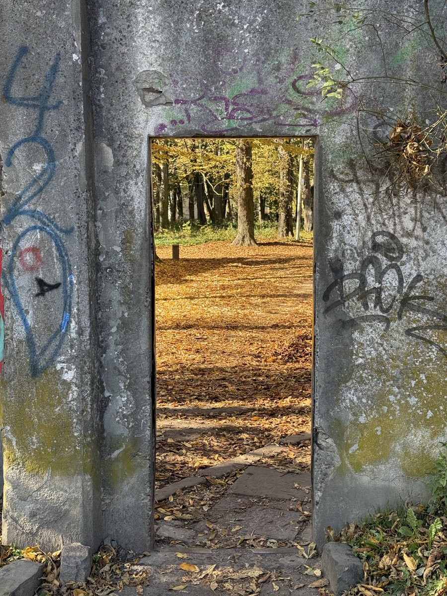 Я:
Мій вайб: парк психіатрії у Львові