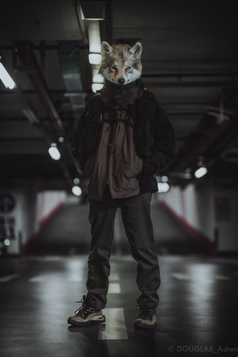 DOUGLAB_Ashen's tweet image. #FursuitEveryday 
#DOUGLAB