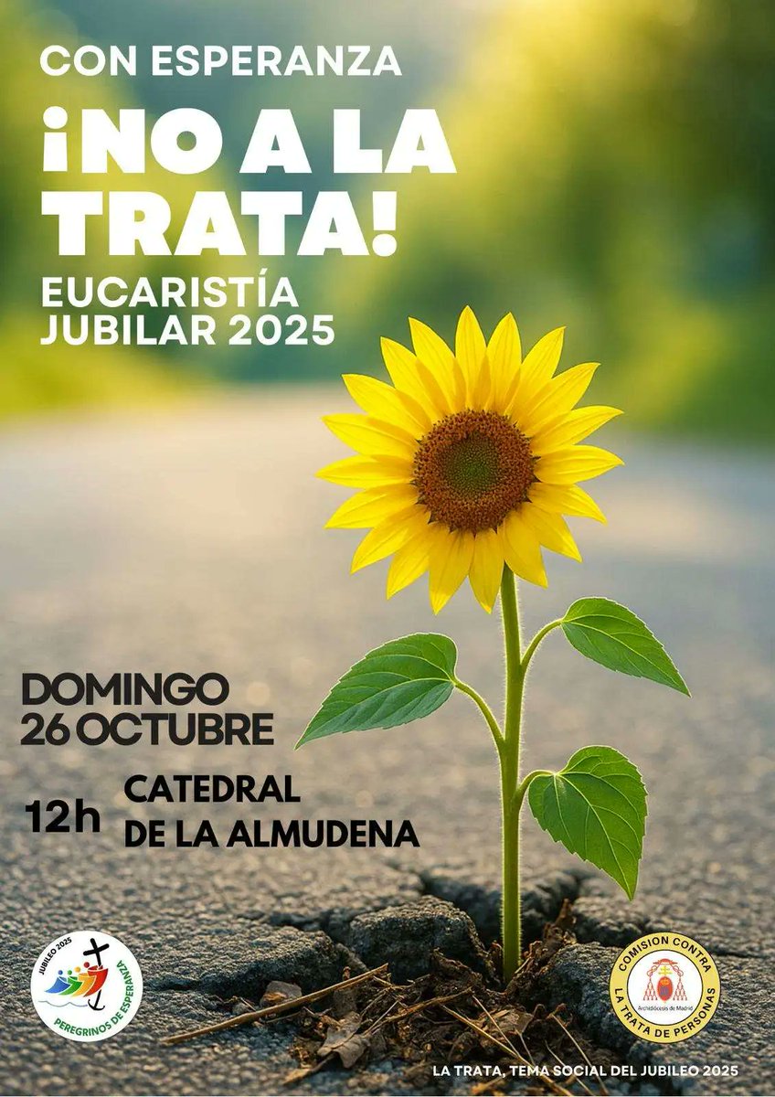 🗓️Este domingo, 26 de octubre

La Iglesia de Madrid celebra una Misa Jubilar contra la Trata de Personas en la catedral de Santa María la Real de la Almudena

🕖12:00 h |📺Canal YouTube <a href="/archimadrid/">Archidiócesis de Madrid</a>   

<a href="/PasSocialMad/">Pastoral Social Madrid</a> <a href="/CaritasMadrid/">Cáritas Madrid</a> <a href="/PastoralSocial9/">Pastoral Social</a>
