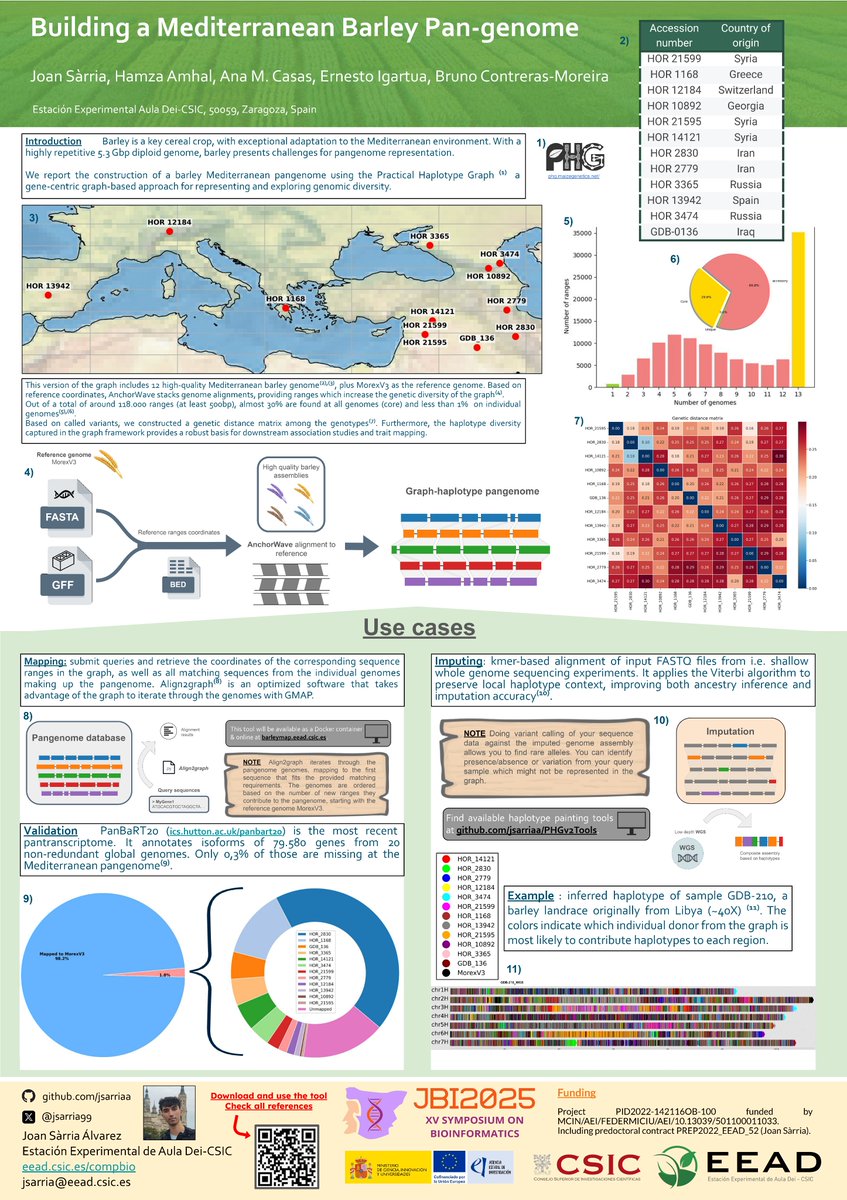 Next week in Madrid, <a href="/RSGSpain/">ISCB SC RSG-Spain</a> is hosting the Bioinformatics Symposium #JBI2025 🖥️
I’ll be sharing updates on our pangenome projects. Here’s a little preview 👇🏾

digital.csic.es/handle/10261/4…