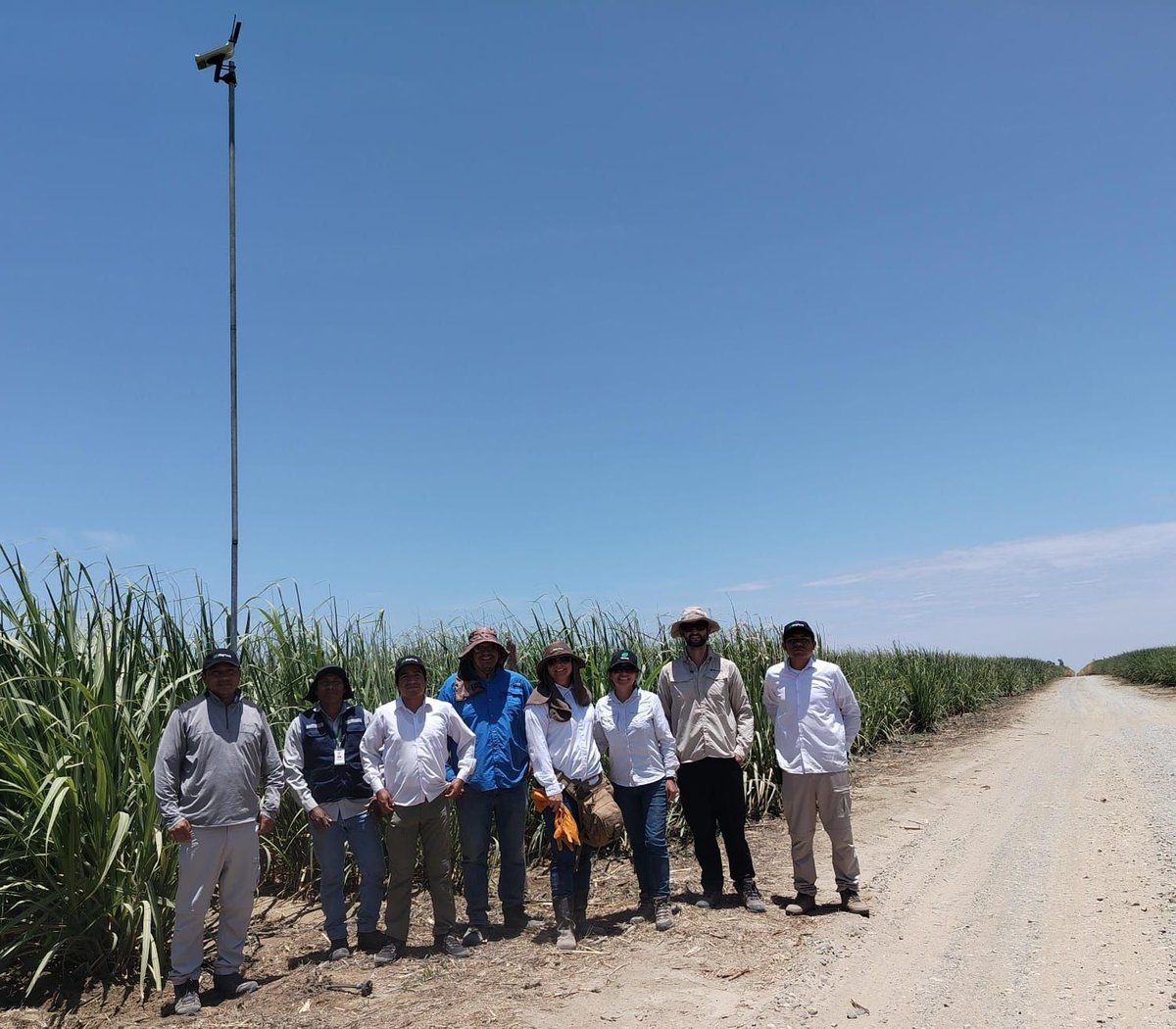 Phytech - Plant Based Farming tweet media