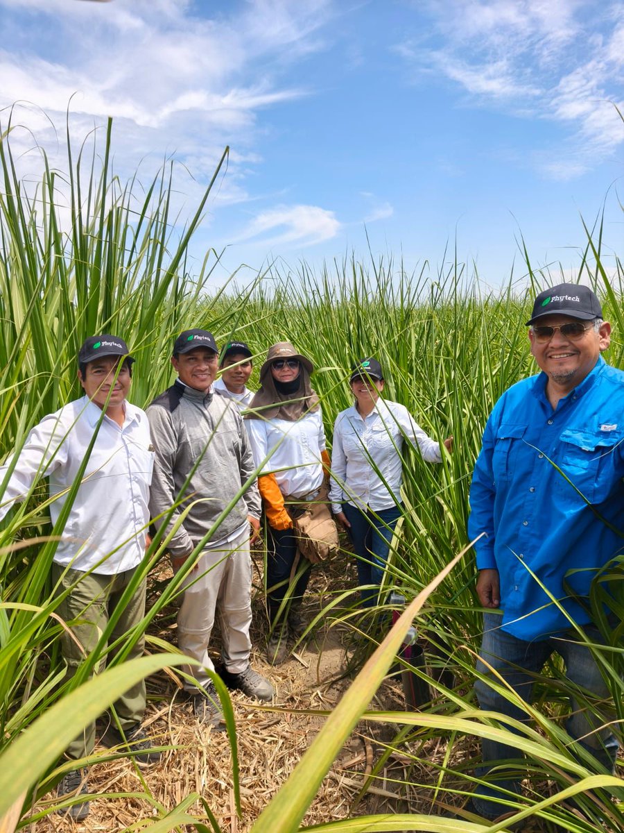 Phytech - Plant Based Farming tweet media