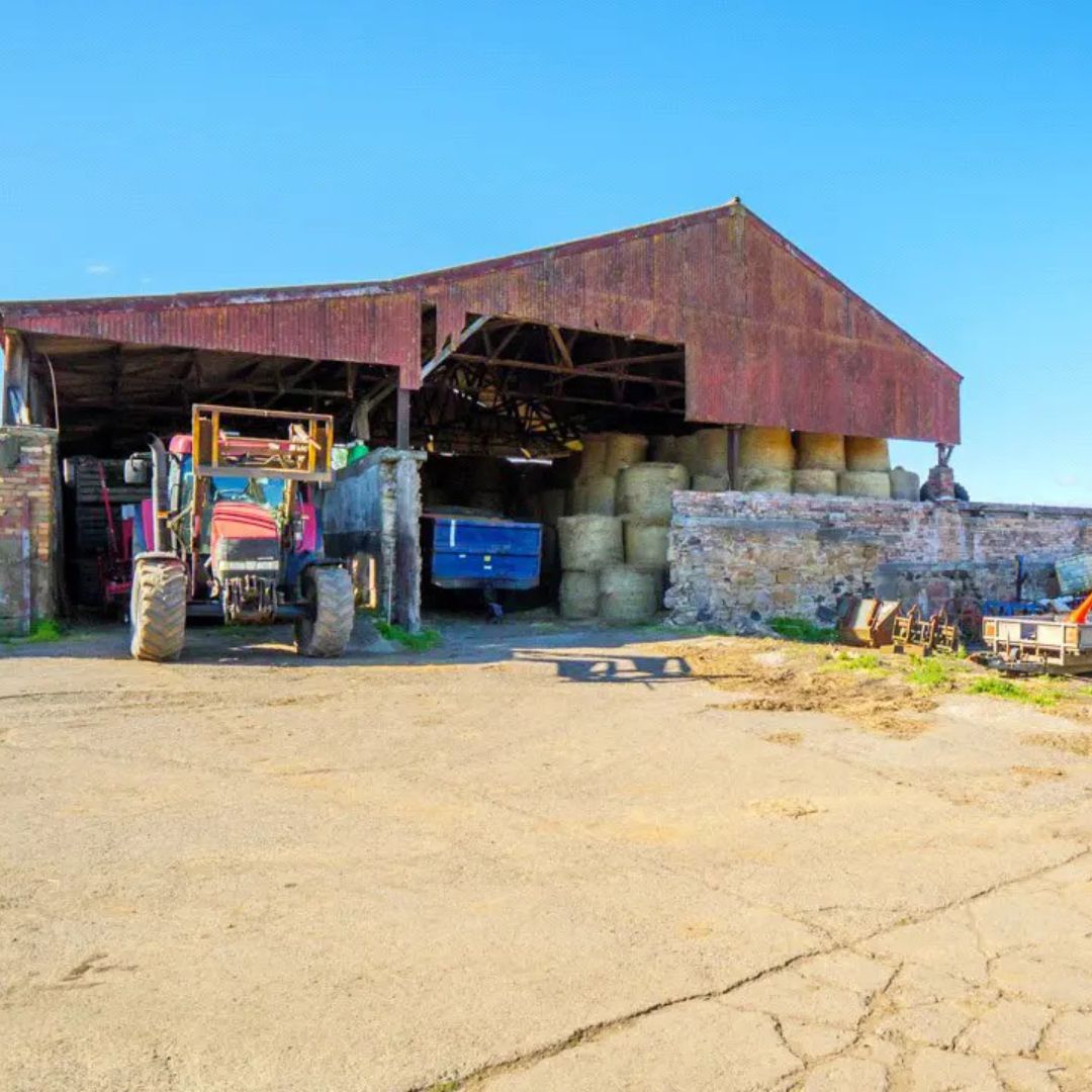FARM FOR SALE 

Cardenbarns in Fife extends to about 153 acres with a range of outbuildings and a farmhouse. 

Interested? Contact our team in the area for all the details 📲 loom.ly/eiZO8U8

#Galbraith | #FarmForSale | #FarmSales |