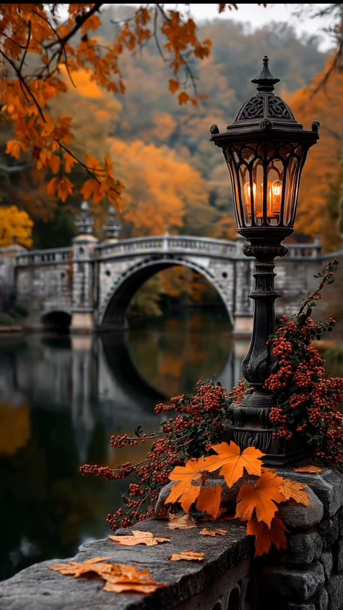 Unica14177579's tweet image. ᵀʰᵉ ᶰᵉˣᵗ ᶜʰᵃᵖᵗᵉʳ ᵒᶠ ʸᵒᵘʳ ˡᶤᶠᵉ ᶤˢ ᶜᵃˡˡᵉᵈ:          
    &quot;ʰᵉᵃˡᵗʰʸ ᵃᶰᵈ ʰᵃᵖᵖʸ.&quot; 💫
ᵀʰᵃᵗ’ˢ ᵗʰᵉ ᵉᶰᵉʳᵍʸ ᶠʳᵒᵐ ᵗʰᶤˢ ᵈᵃʸ ᶠᵒʳʷᵃʳᵈ. 

ᵂᶤˢʰᶤᶰᵍ ʸᵒᵘ ᵃ ᵍᵉᶰᵗˡᵉ ᵃᶰᵈ ʲᵒʸᶠᵘˡ ʷᵉᵉᵏ.🍂

#HappyNewWeek #MondayVibes #mondaythoughts