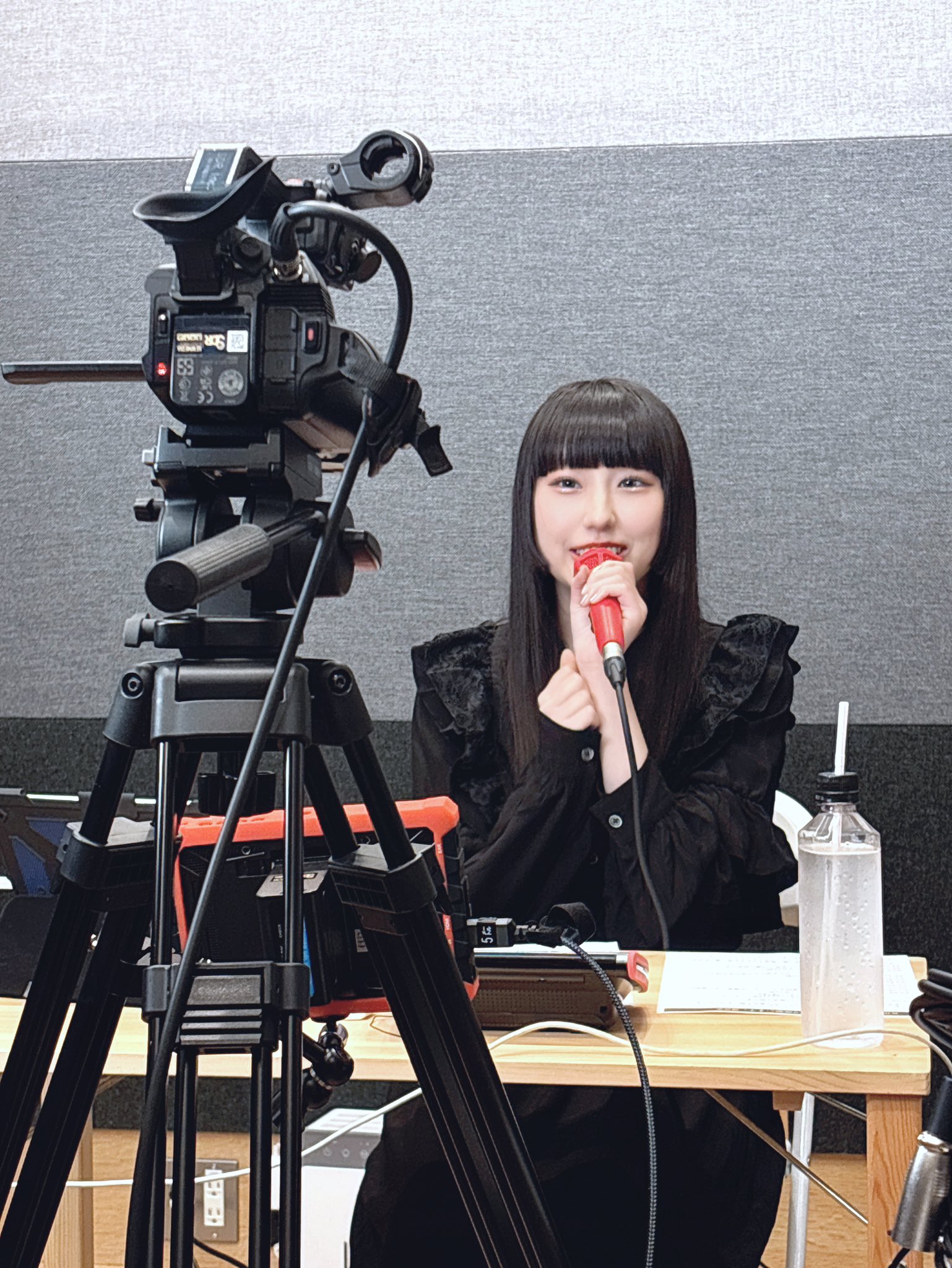 ファントムシータ 灯翠 まとめ売り 13874-105-