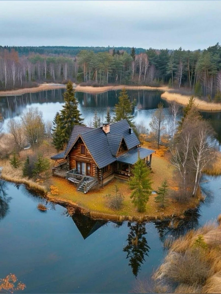 Epic Posts Daily 𝕏 (@wallacebeaufort) on Twitter photo 