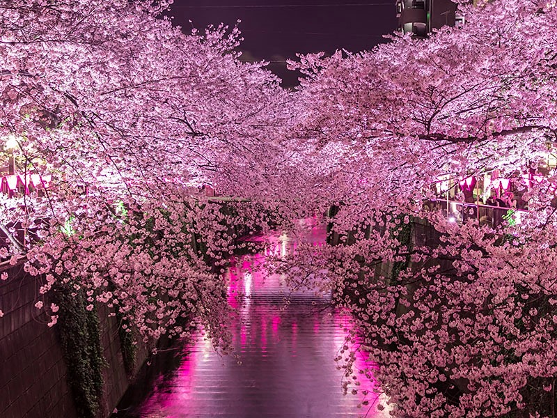 Not everyone will understand your path, and that's alright.