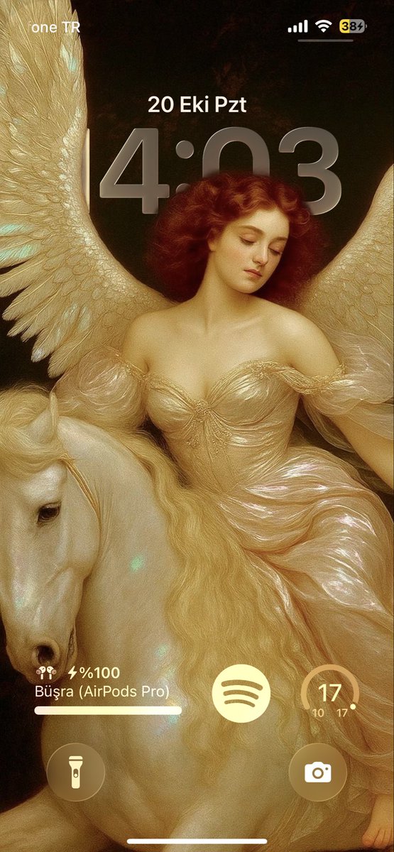 Bende işe yarama ihtimali olmadığı için sizi haksız çıkarmaya geldim