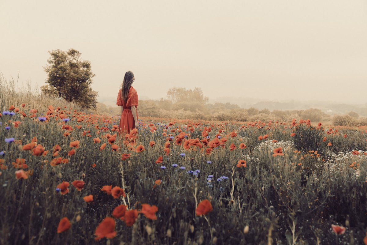 How do you distill the intense nostalgia of summers passed? ♥️

"Poppy Fields"
A song for summers passed.  
Holding the memories gently, like the fragile poppy petals.

(self-portrait, Isl. of Ærø, 2023)
Minted October 2025

Reserve: 0.35E
List: 0.8E