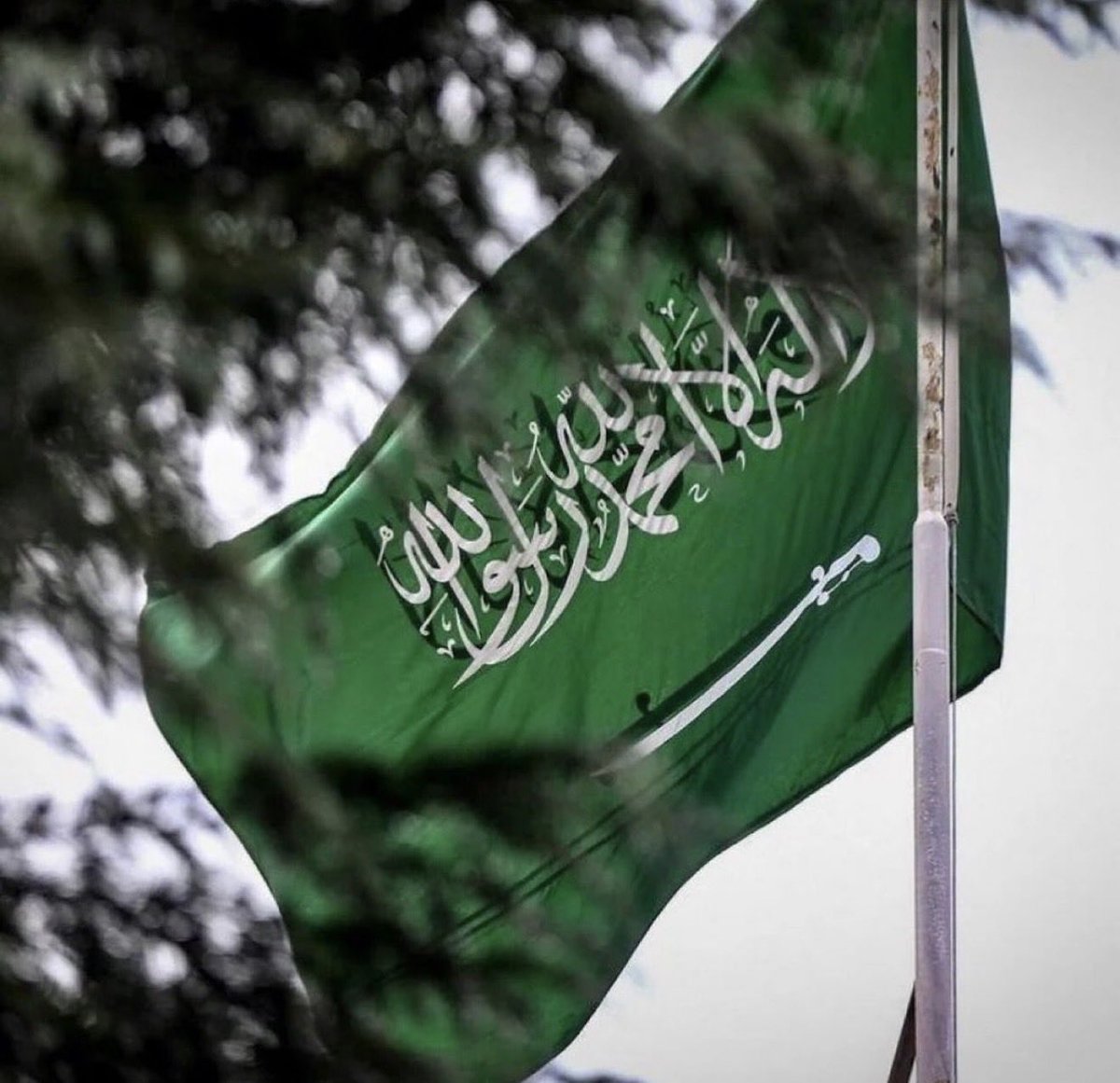 xf991x's tweet photo. @amazonksamarket #اسواق_أمازون_السعودية_اليوم_الاخضر 
مو غريبة ؏ السعودية 🇸🇦 والف مبارك للوطن وابناء الوطن .... حالفكم التوفيق والنجاح دائماً. 

عز يامال العز https://t.co/pCkYaEgJTb