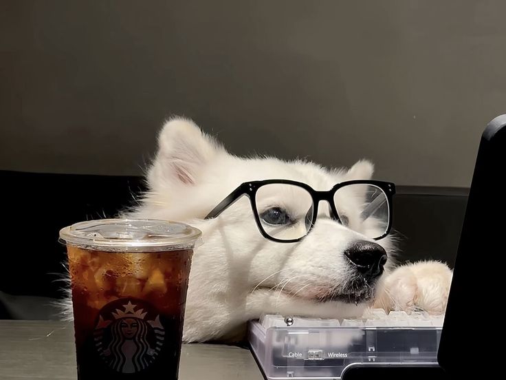 dogs so cute that could save the world tweet media