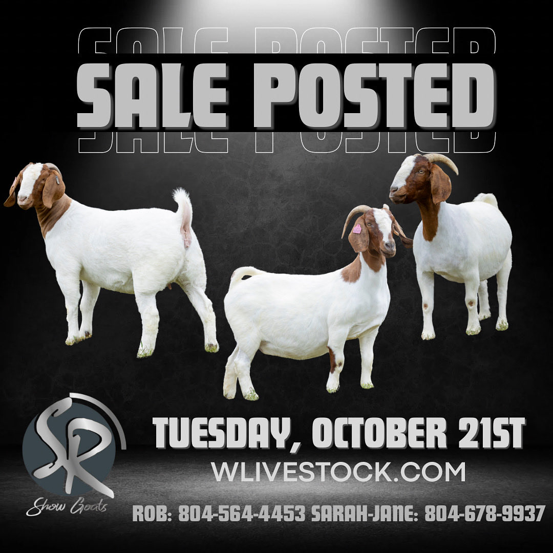 SGoats's tweet image. wlivestock.com/auction/30344