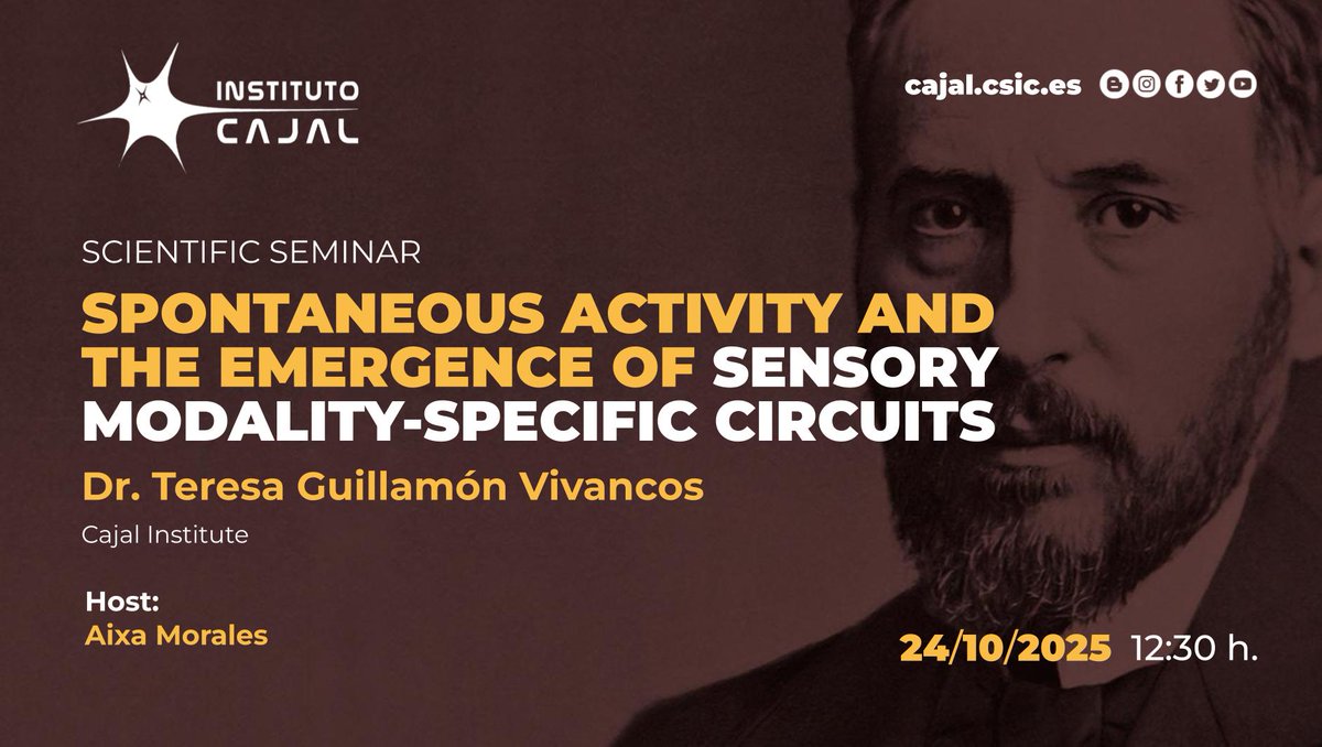 InstitutoCajal's tweet image. 🧠 Scientific seminar @ Cajal Institute with
Dr. Teresa Guillamón (Cajal Institute/CNC): “Spontaneous activity shapes sensory circuits in the developing cortex.”
🗓 Fri, Oct 24 – 12:30 PM 
Join us!
#Neuroscience #CorticalDevelopment #CNC #InstitutoCajal