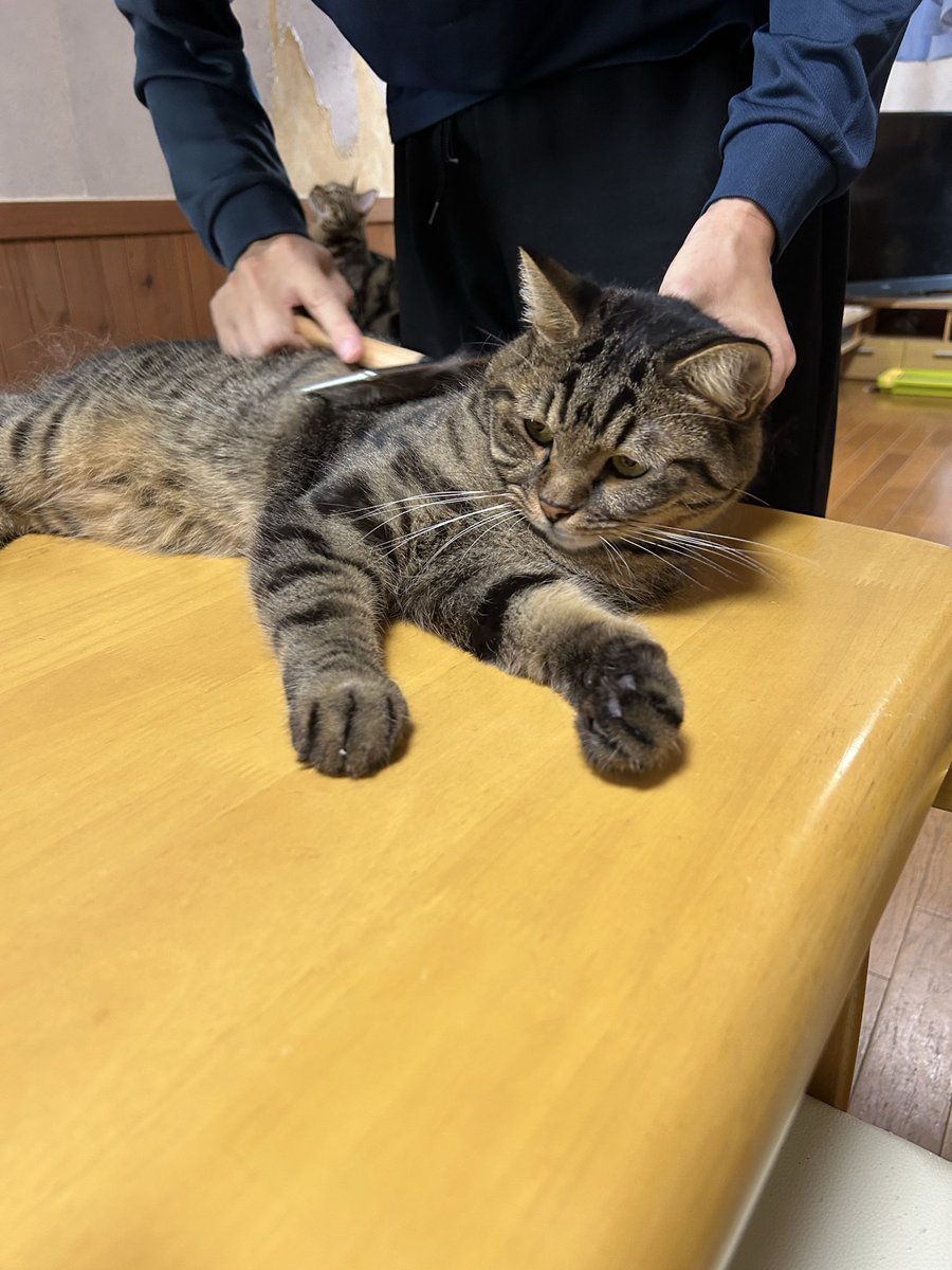 はると (@tomeji1106) / Posts / X