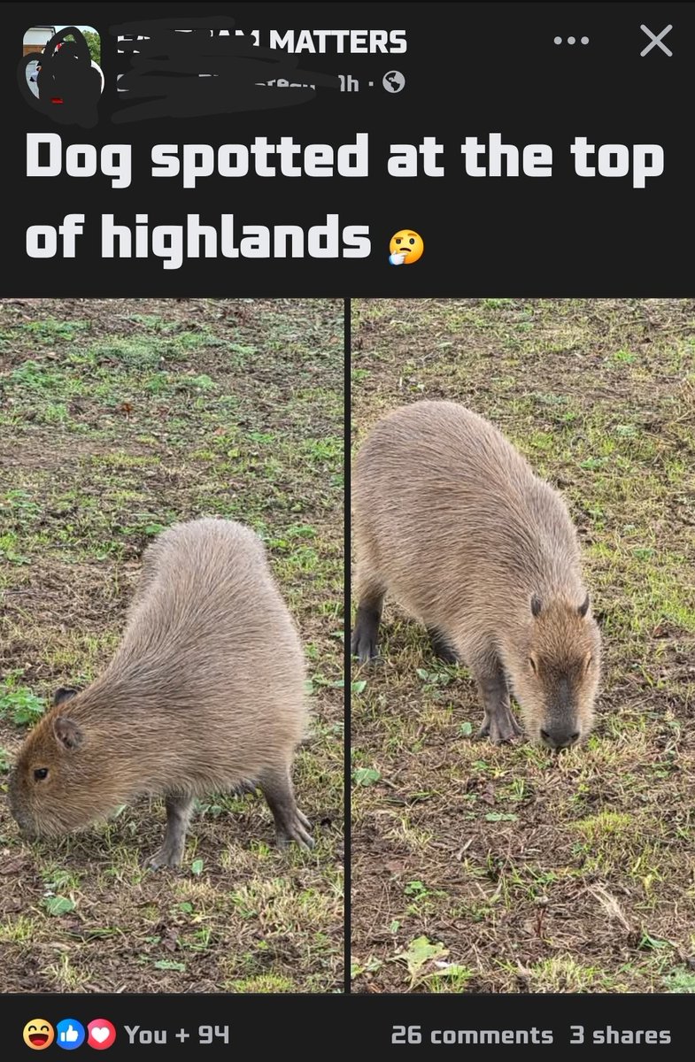 ☠ Jasper tweet media