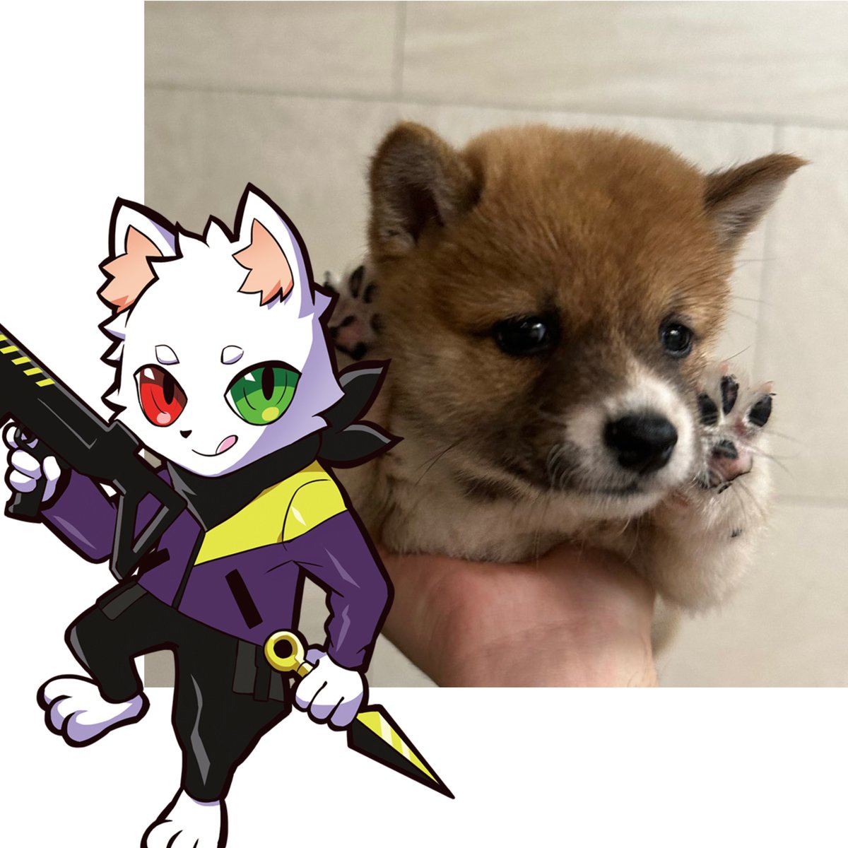 CR KR🐹☠️🌟🐱のpet
なんか 自分と 似合う子たちと 一緒にいる

라스도 본인이랑 똑닮은 댕댕이 데려왔어 ㅠww