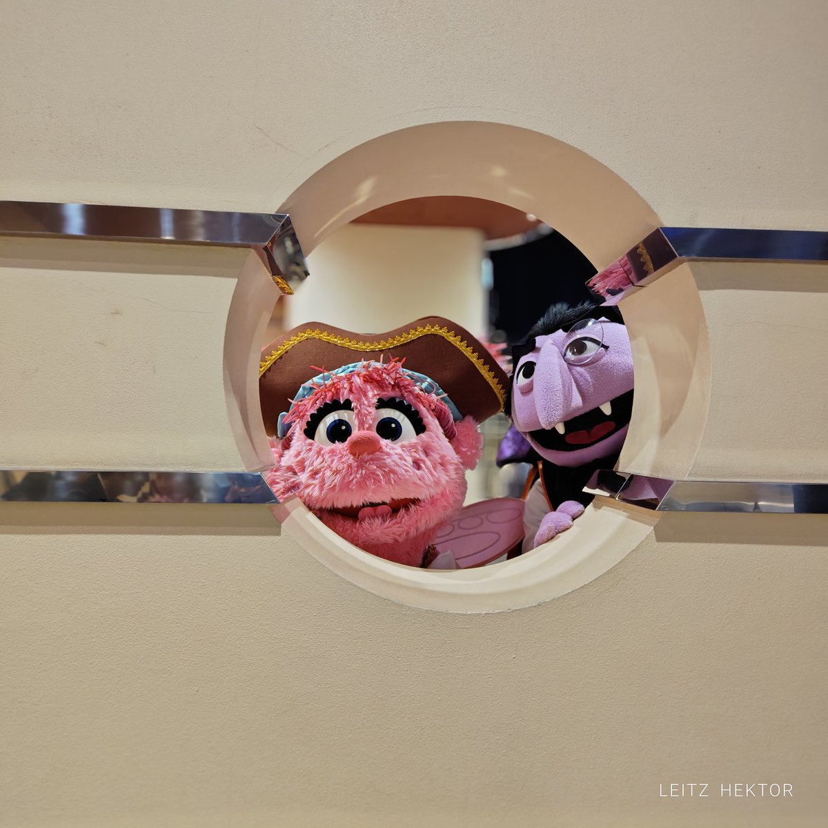 セサミストリート - Search / X