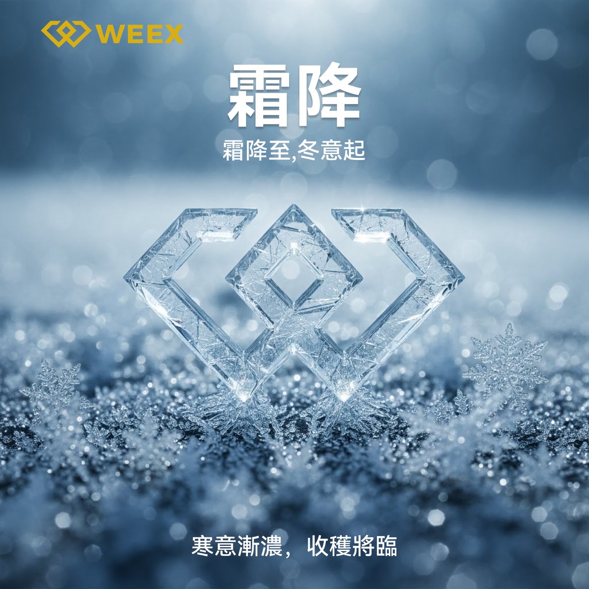 WEEX唯客中文 (@weexglobal_ch) on Twitter photo ❄️霜降至,冬意起。
寒意漸濃,收穫將臨。🌨️
與 #WEEX 一起,穩步前行,靜待豐收時刻。💎
#霜降 #WEEX ❄️霜降至,冬意起。
寒意漸濃,收穫將臨。🌨️
與 #WEEX 一起,穩步前行,靜待豐收時刻。💎
#霜降 #WEEX