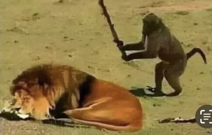 Se pudo Petro a torear al León ahora sale a pedirnos que lo apoyemos en su pelea buscada.
Más bien que busque tierra alta como la Tanga y así recuerda sus tiempos de guerrillero.