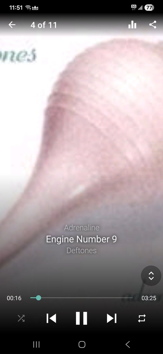 Lunch vibes at the gym