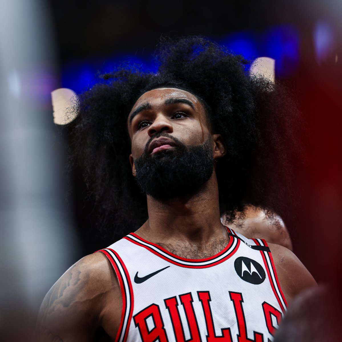 Chicago Bulls tweet media