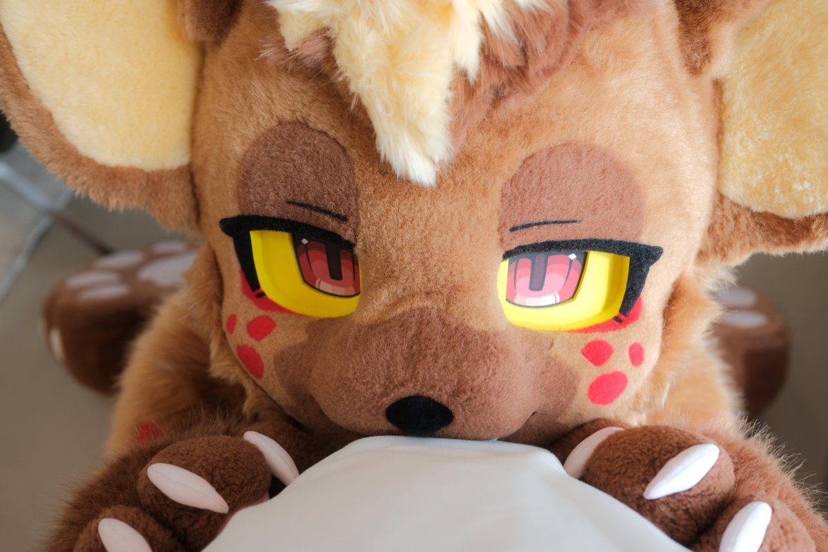 #FursuitEveryday #Fursuit 

쓰다듬어줄 수 있어요?
나 오늘 완전 머리도 정리하고 왔는데 ✨

📸 : <a href="/Breadragon/">Breadragon(Commission Close) 🔜 HowlSoup</a>