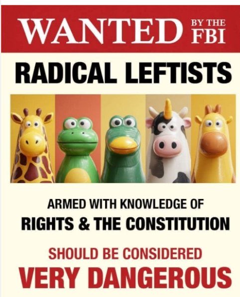 cdajr67's tweet image. #ReleaseTheEpsteinFiles #25thamendment #TraitorsIRL