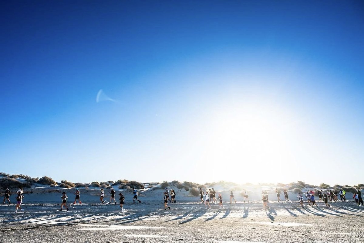 La Gran Carrera del Desierto sigue consolidándose como un referente internacional.

Más de 600 competidores de 11 países recorrieron las dunas del Desierto de Altar, mostrando al mundo la belleza de Sonora.

Seguiremos impulsando el turismo deportivo y mostrando al mundo la