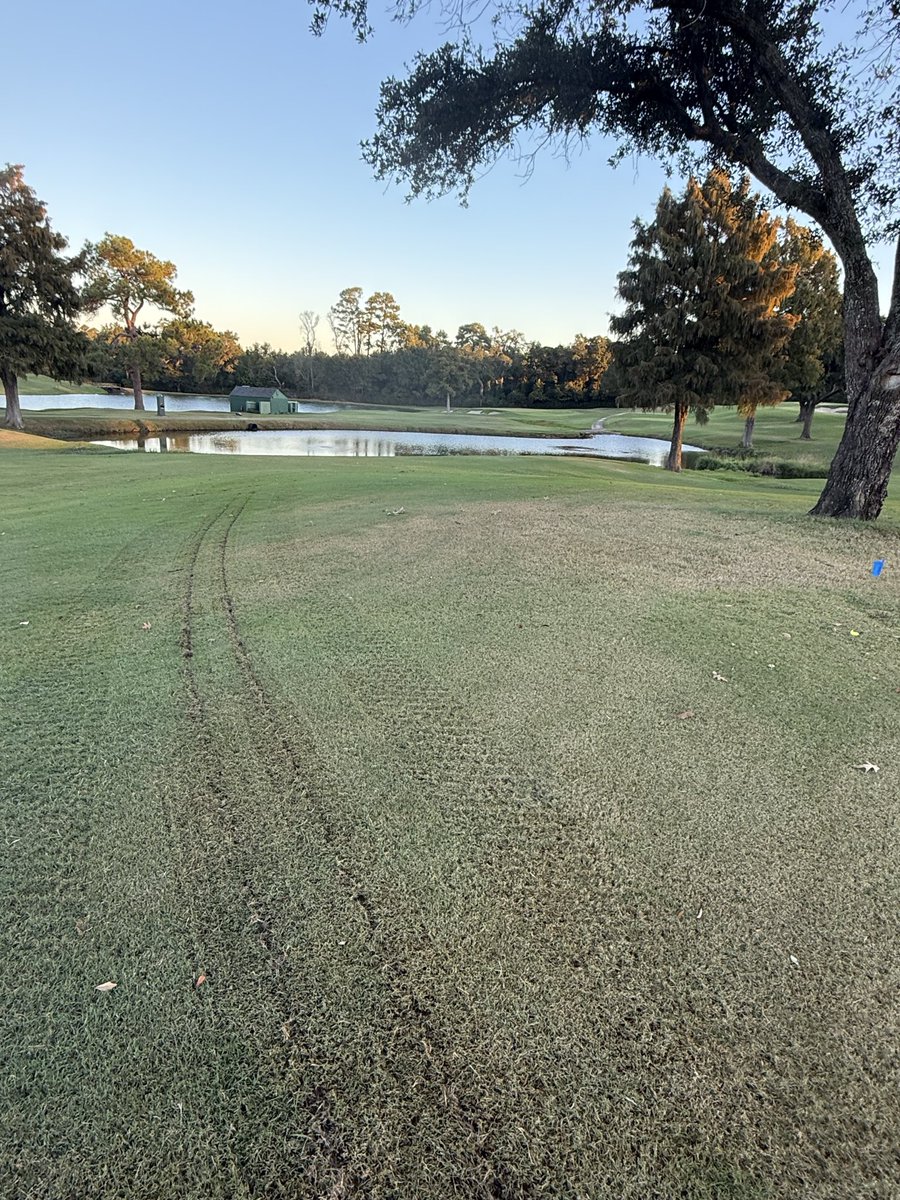 Getting some much needed root pruning done today. This is as dry as we have been all year and it’s easy to see where it is needed.