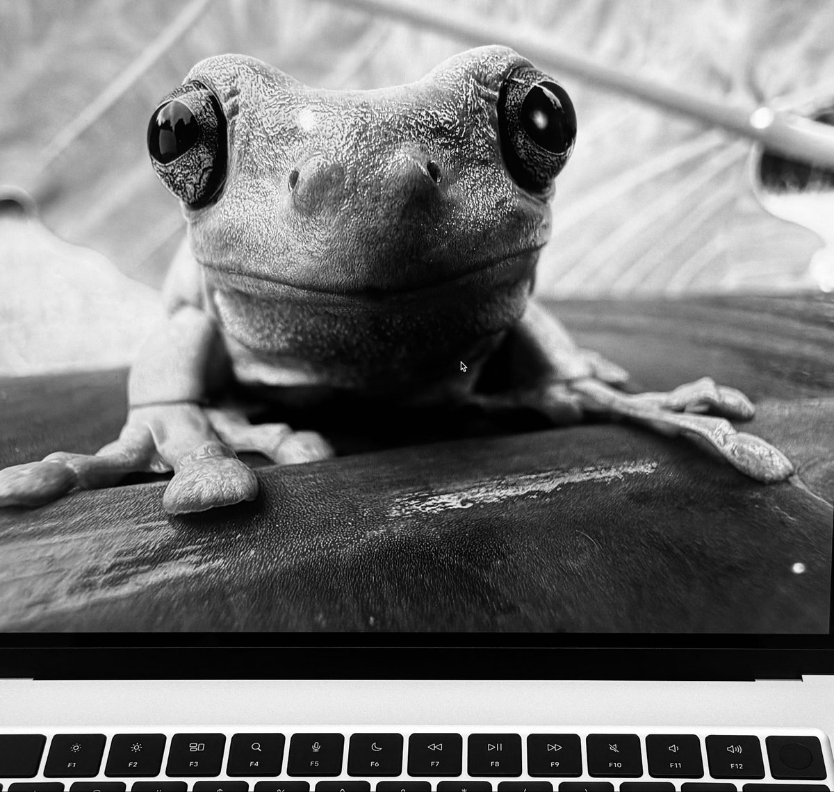 Starting the week face-to-face with determination—eyes forward, grip steady, ready to leap at what’s next