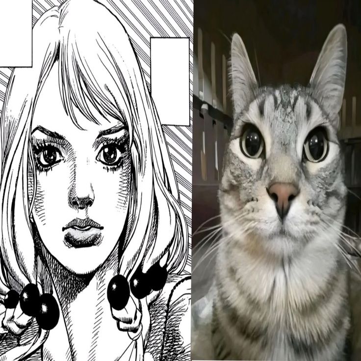 jjba_cursed's tweet photo. Spot the difference https://t.co/SDcGg7kepD