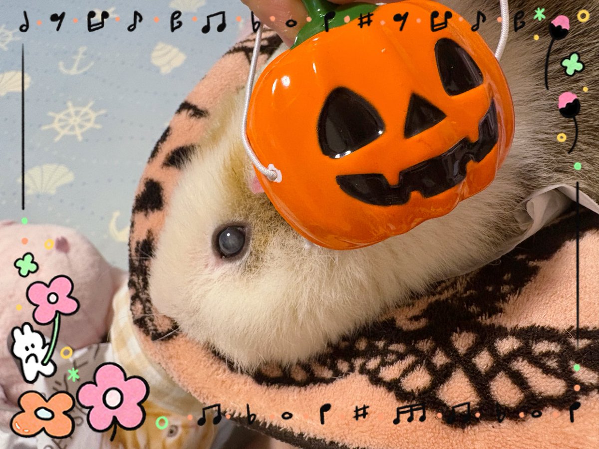 チャチャページです♥️ ちゃちゃ (@moecha0415) / Posts / X