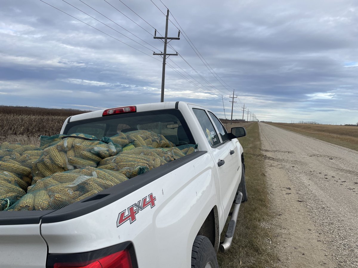 Heading to Westman today for corn competition entry picking! Reach out if you’ve got one for the 2025 competition!
