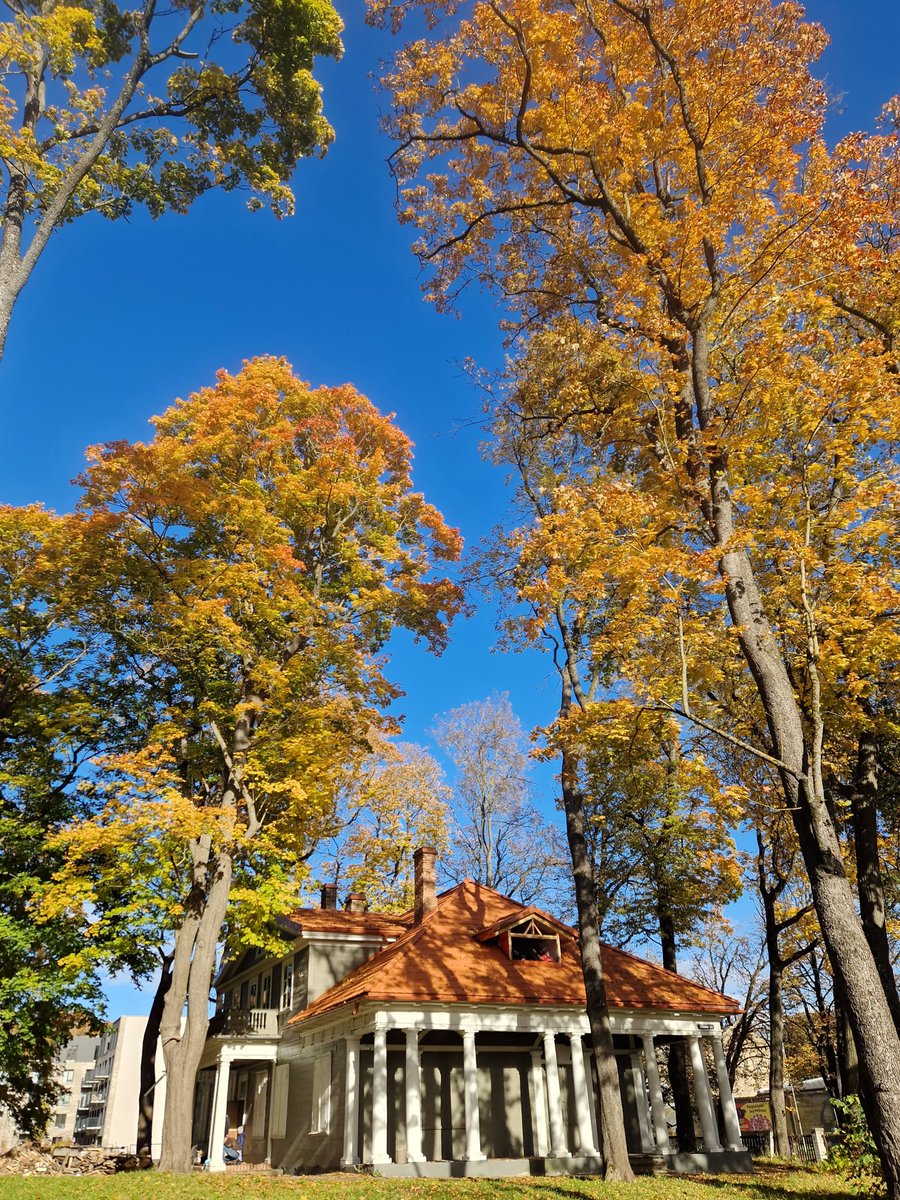 #Mākslasrudens2025 🍂
Svētdien piedzīvojām saulainu un izzinošu pastaigu #Torņkalns kopā ar mākslas zinātnieci fil! <a href="/IneseGatere/">Inese Gatere</a> 
Paldies Inesei par detalizēto un aizraujošo stāstījumu! 💛
#Dailei