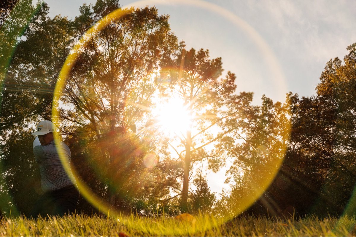 Andrew Wevers tweet media